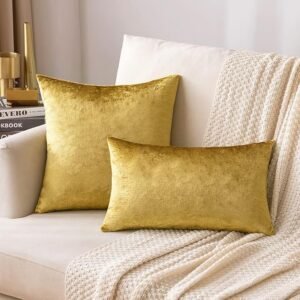 MIULEE gouden fluweelzachte kussenhoezen, set van 2 stuks van 40x40 cm, ideaal voor woon decoratie en als woonhuisaccessoires. Deze sierkussens zijn perfecte woon accessoires voor elke kamer.